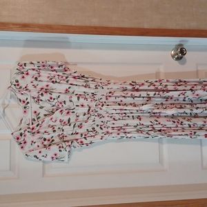 Dress Size Large